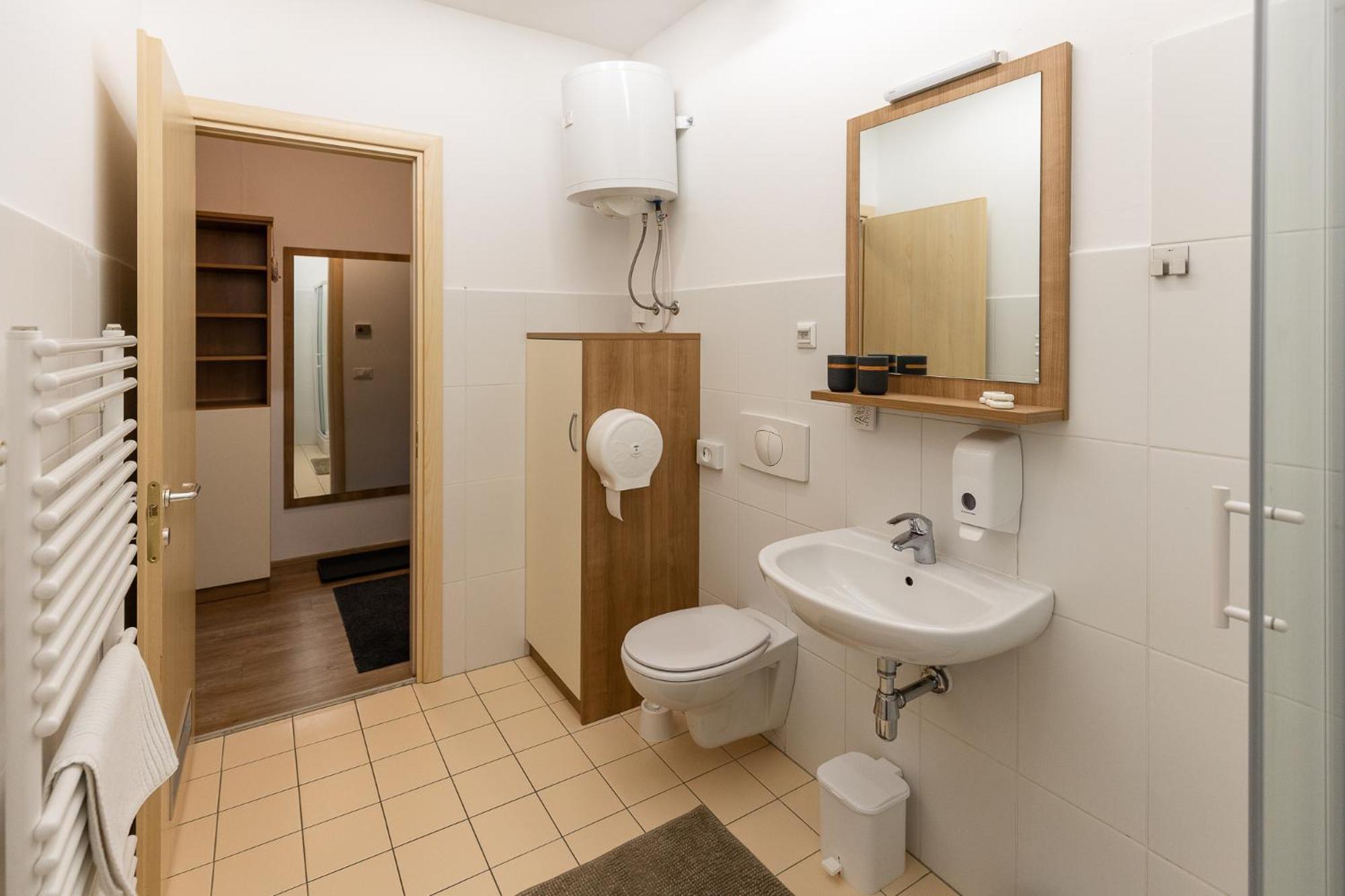 Apartma Planika 克拉尼斯卡戈拉 外观 照片