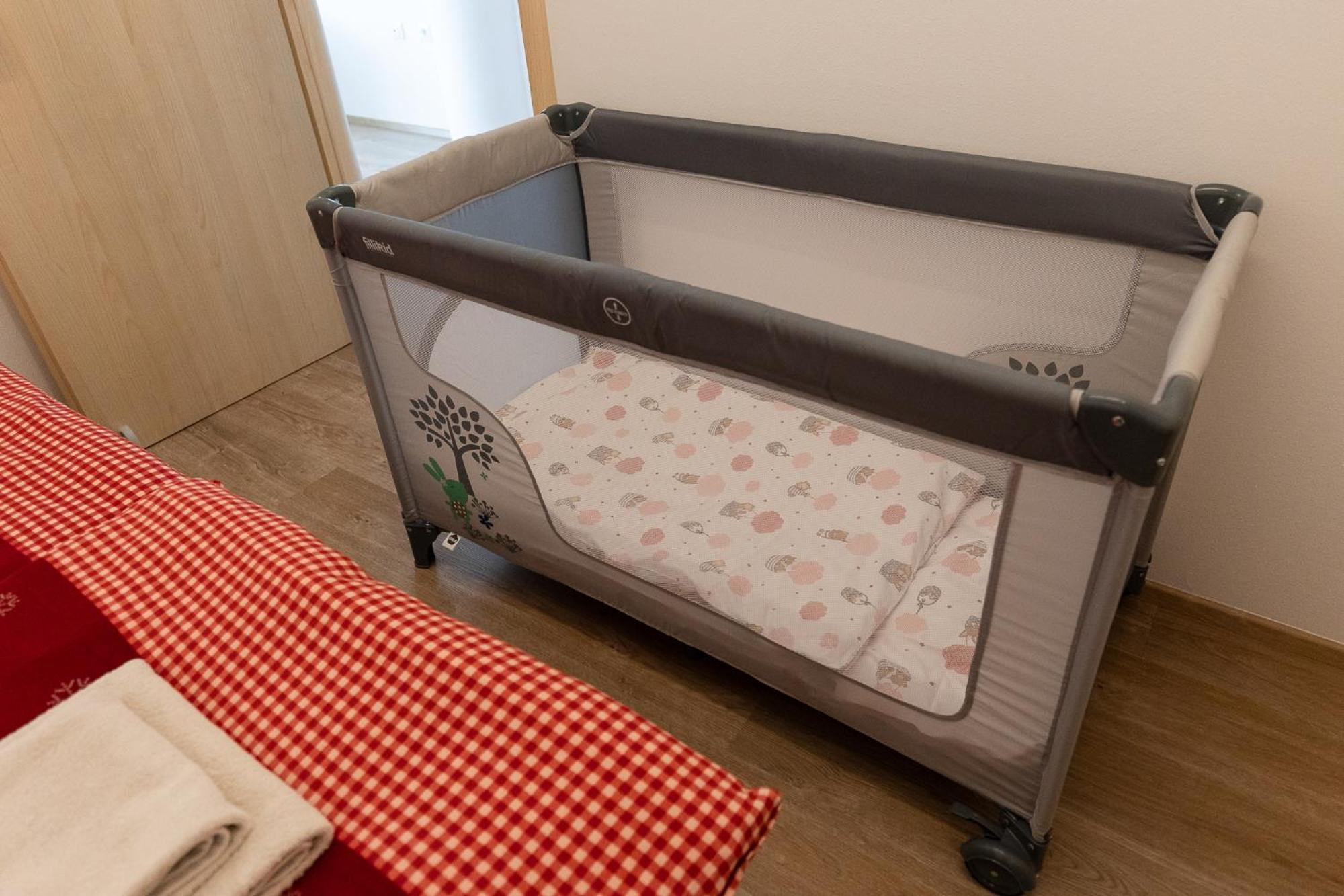 Apartma Planika 克拉尼斯卡戈拉 外观 照片